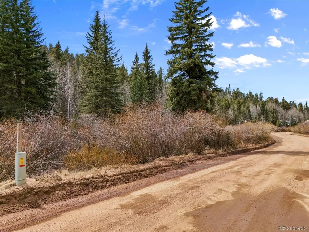 464 E Bison Creek Trail Florissant, CO 80816