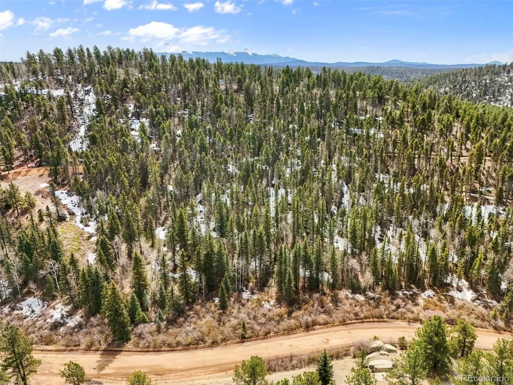 464 E Bison Creek Trail Florissant, CO 80816