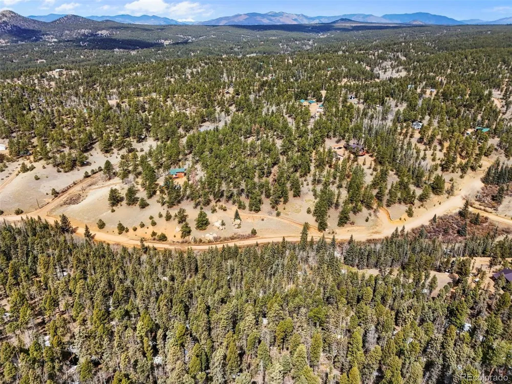 464 E Bison Creek Trail Florissant, CO 80816