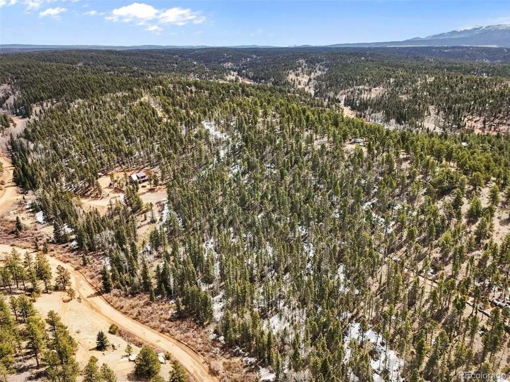 464 E Bison Creek Trail Florissant, CO 80816