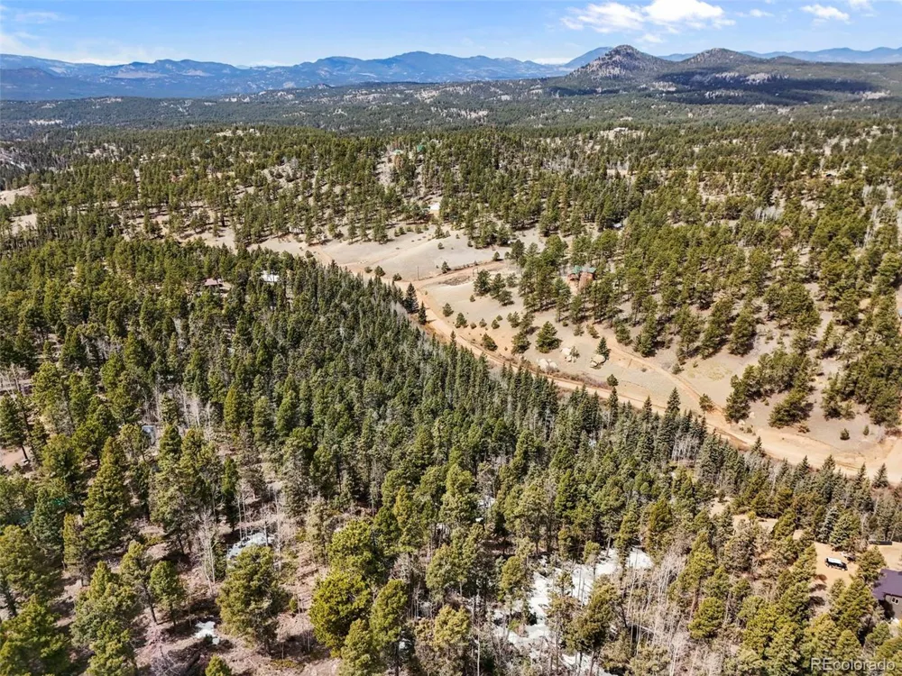 464 E Bison Creek Trail Florissant, CO 80816