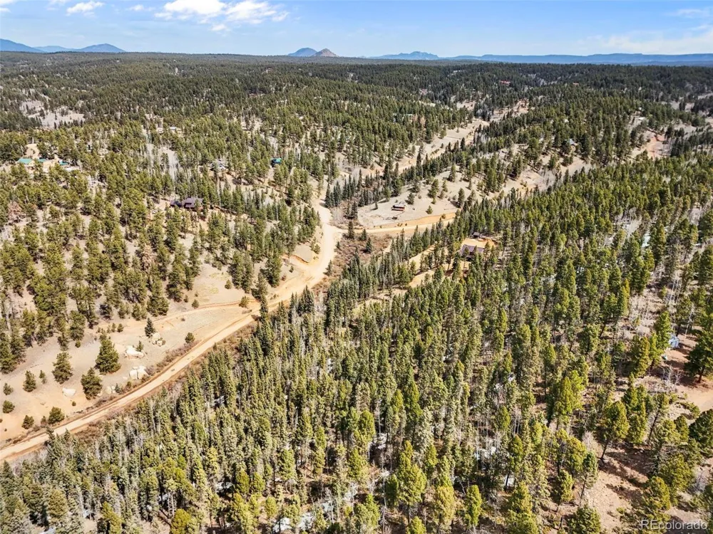 464 E Bison Creek Trail Florissant, CO 80816
