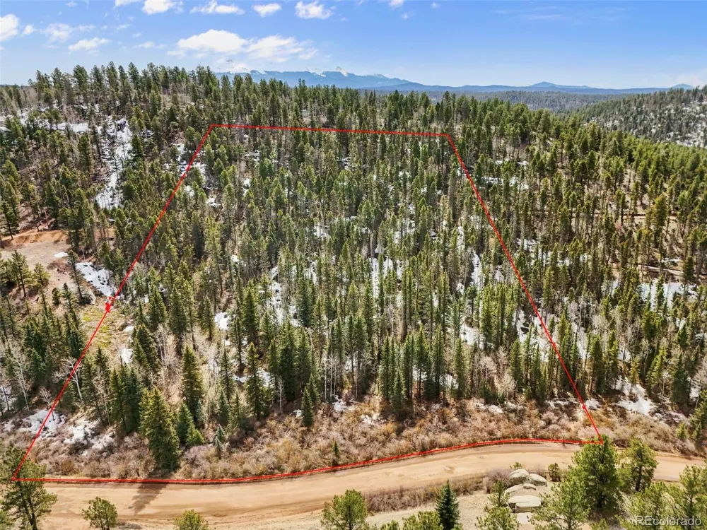464 E Bison Creek Trail Florissant, CO 80816