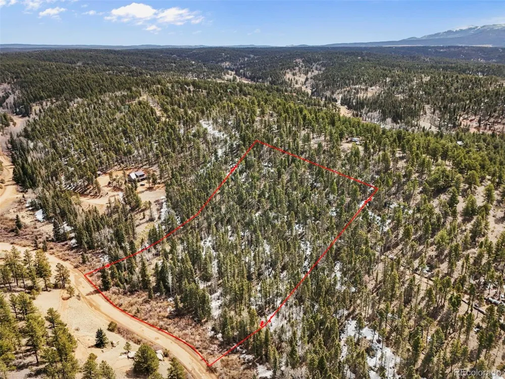 464 E Bison Creek Trail Florissant, CO 80816