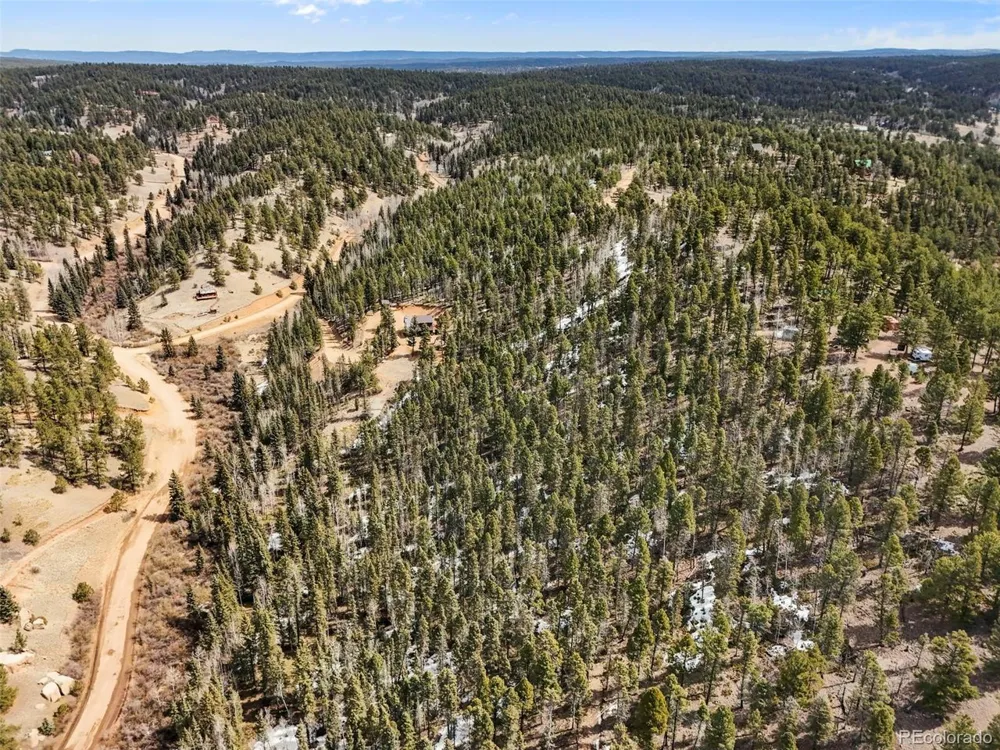 464 E Bison Creek Trail Florissant, CO 80816