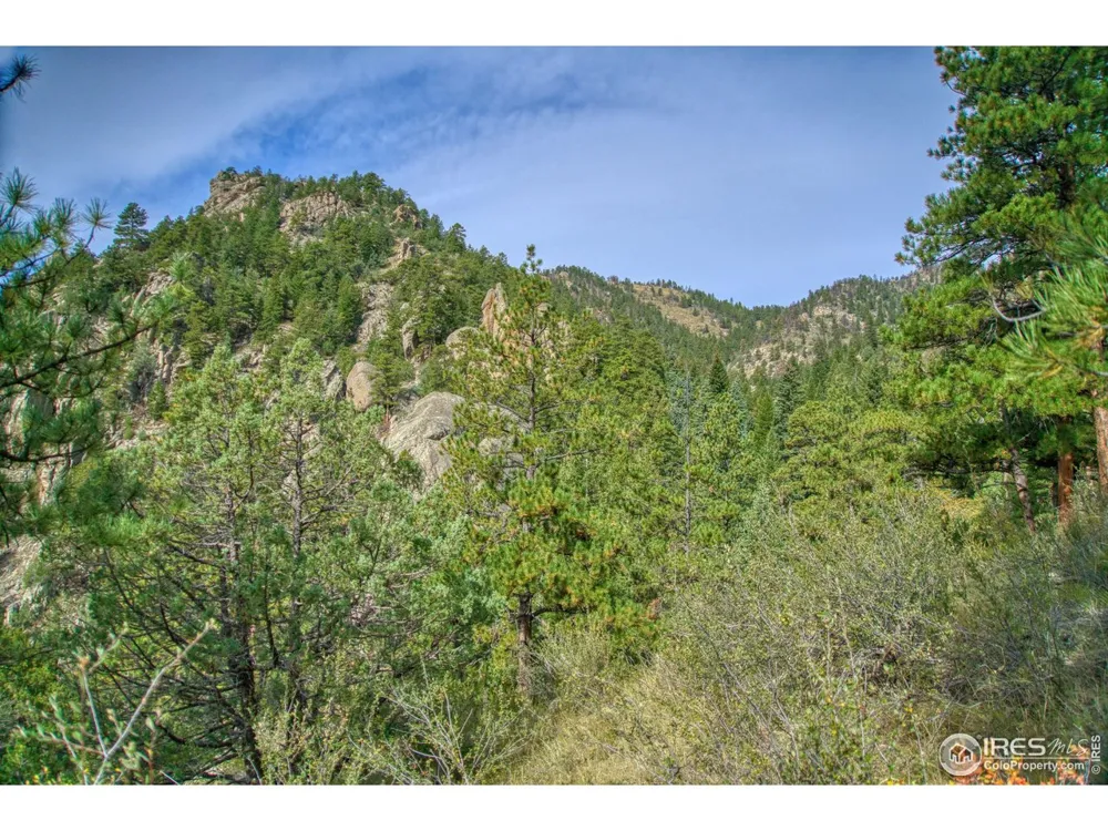 10697 County Road 43 Drake, CO 80515