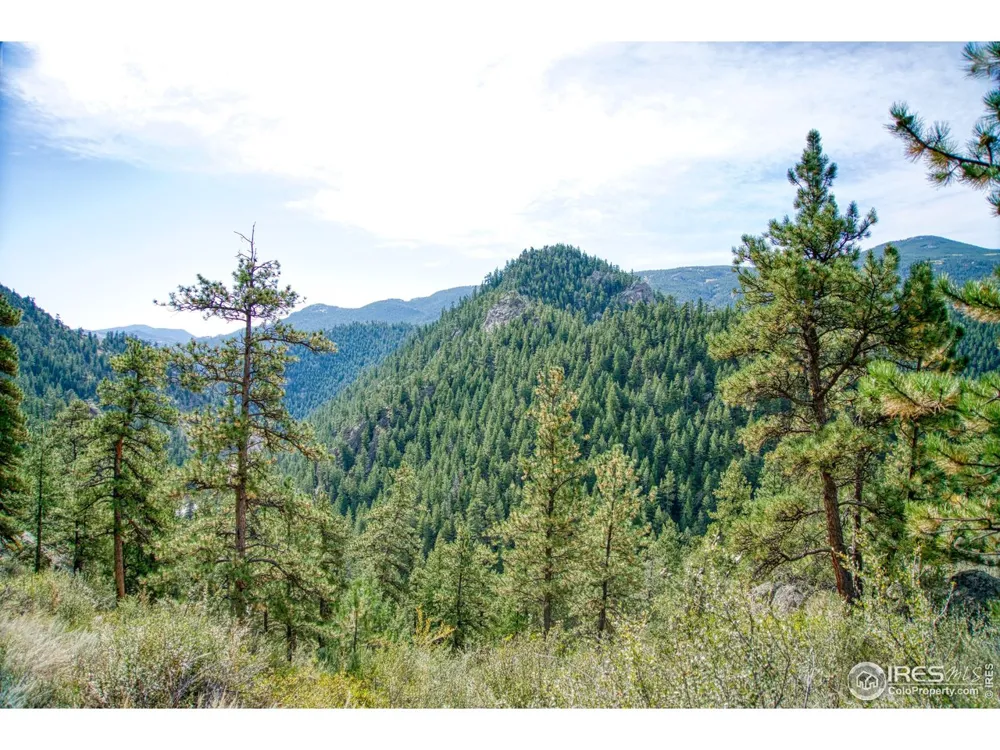 10697 County Road 43 Drake, CO 80515