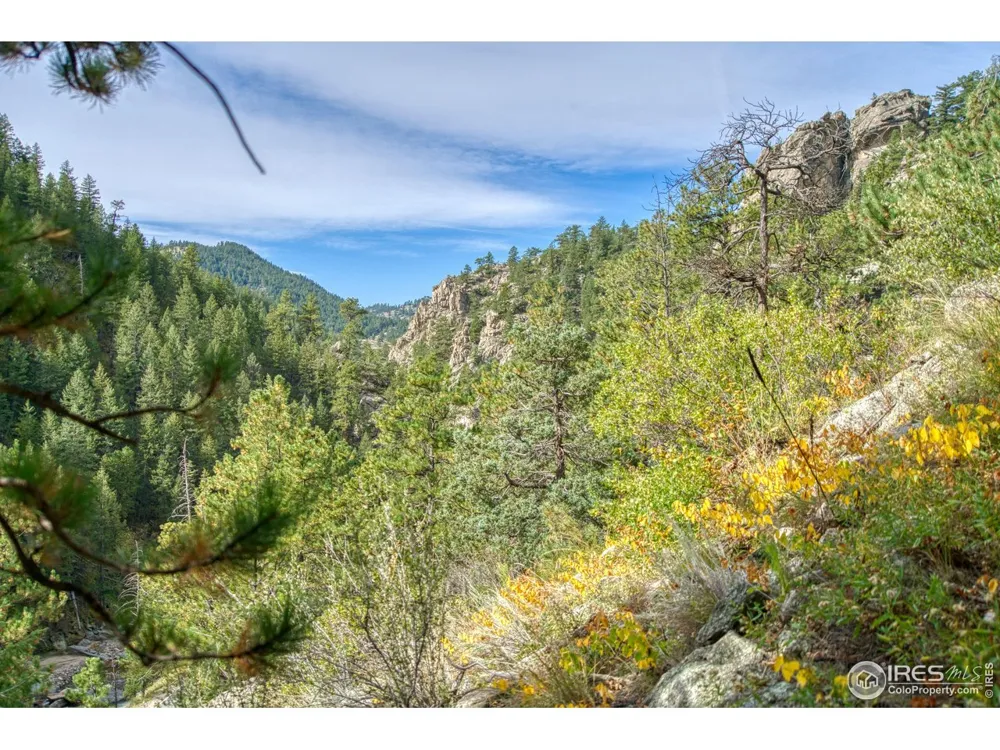 10697 County Road 43 Drake, CO 80515