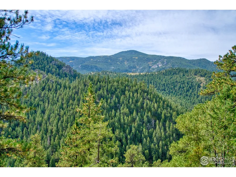 10697 County Road 43 Drake, CO 80515