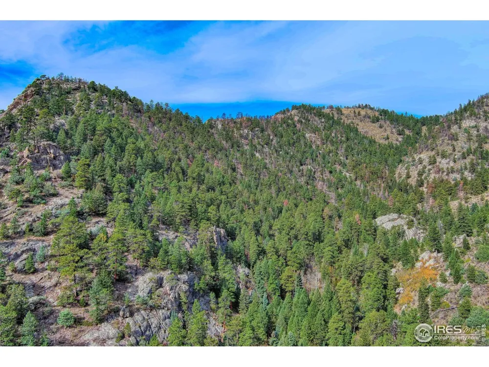 10697 County Road 43 Drake, CO 80515