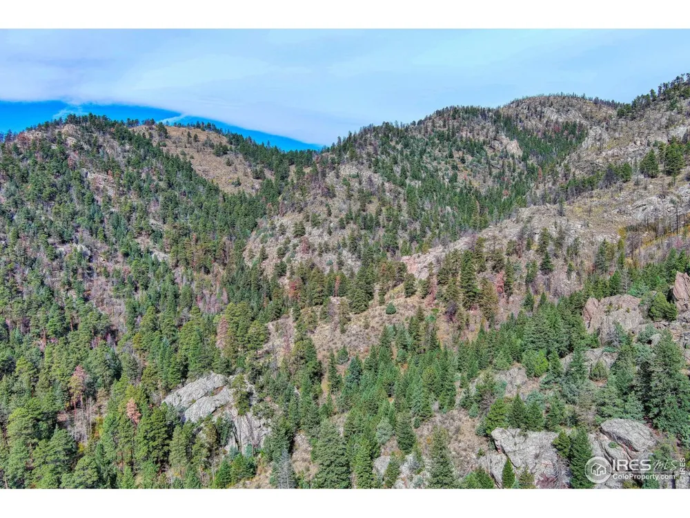 10697 County Road 43 Drake, CO 80515