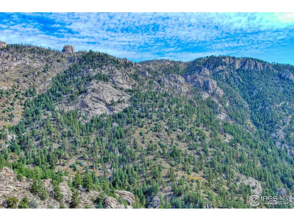 10697 County Road 43 Drake, CO 80515
