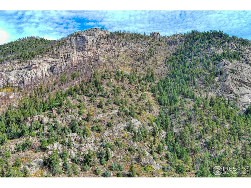 10697 County Road 43 Drake, CO 80515