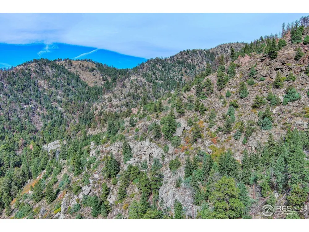 10697 County Road 43 Drake, CO 80515