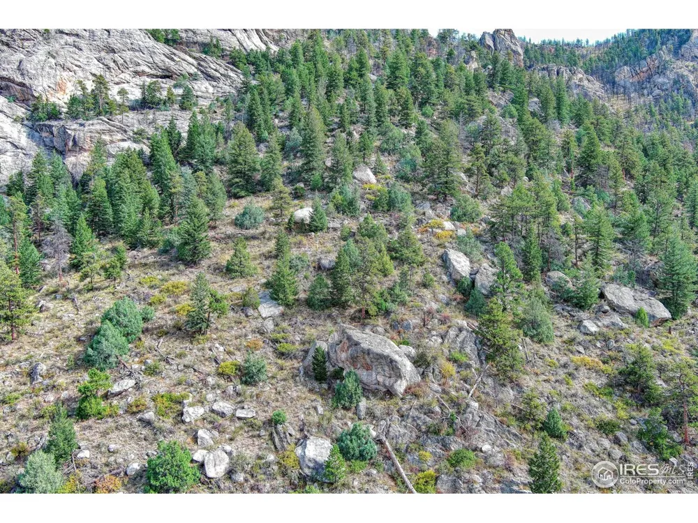 10697 County Road 43 Drake, CO 80515