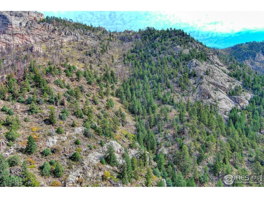 10697 County Road 43 Drake, CO 80515