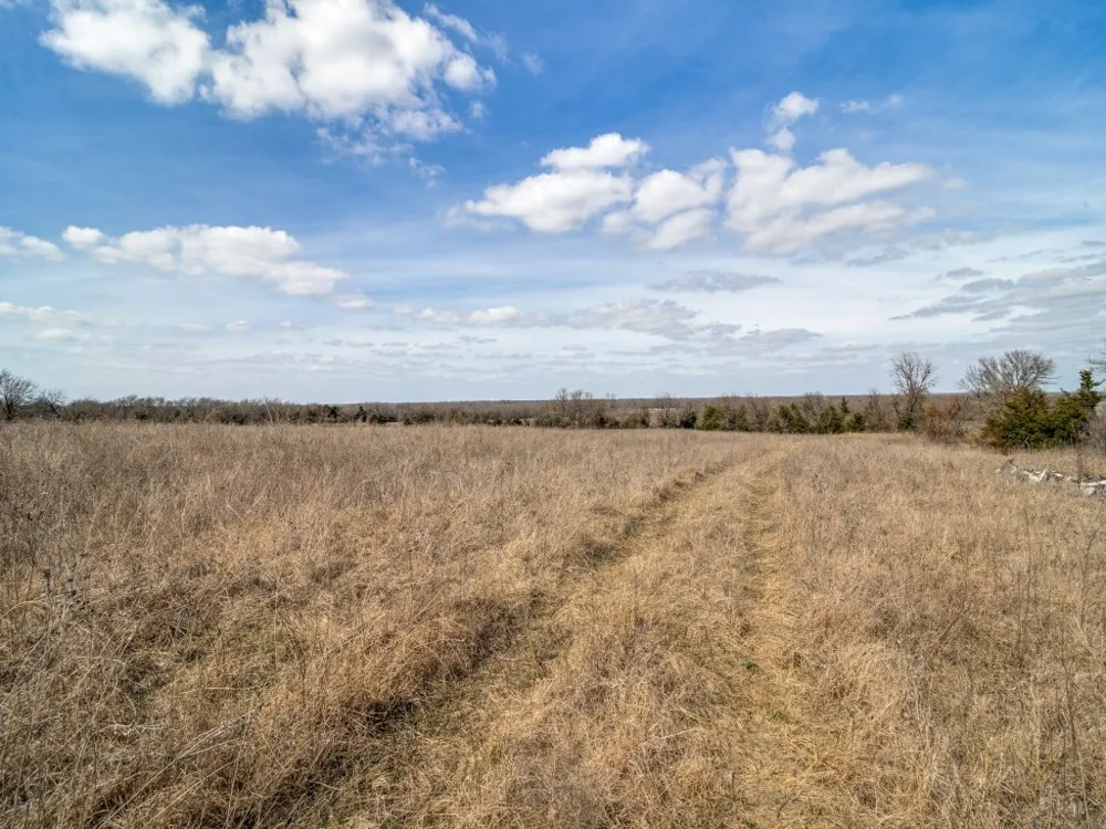 2019 Fm 2949 Highway Cooper, TX 75432