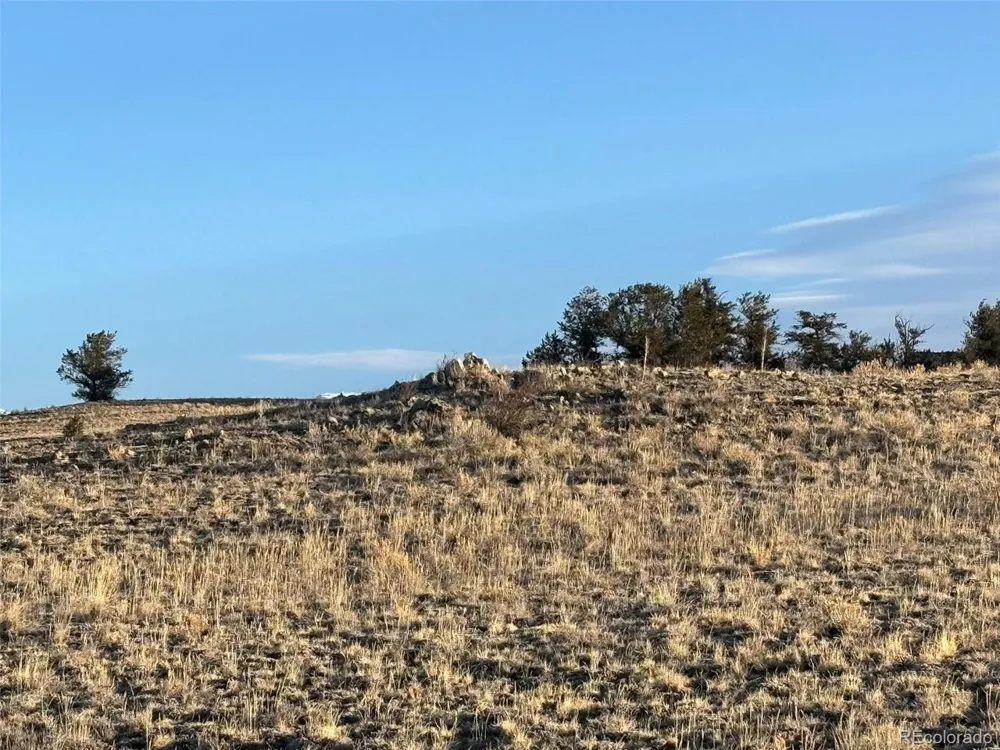 1290 Lippzana Road Como, CO 80432