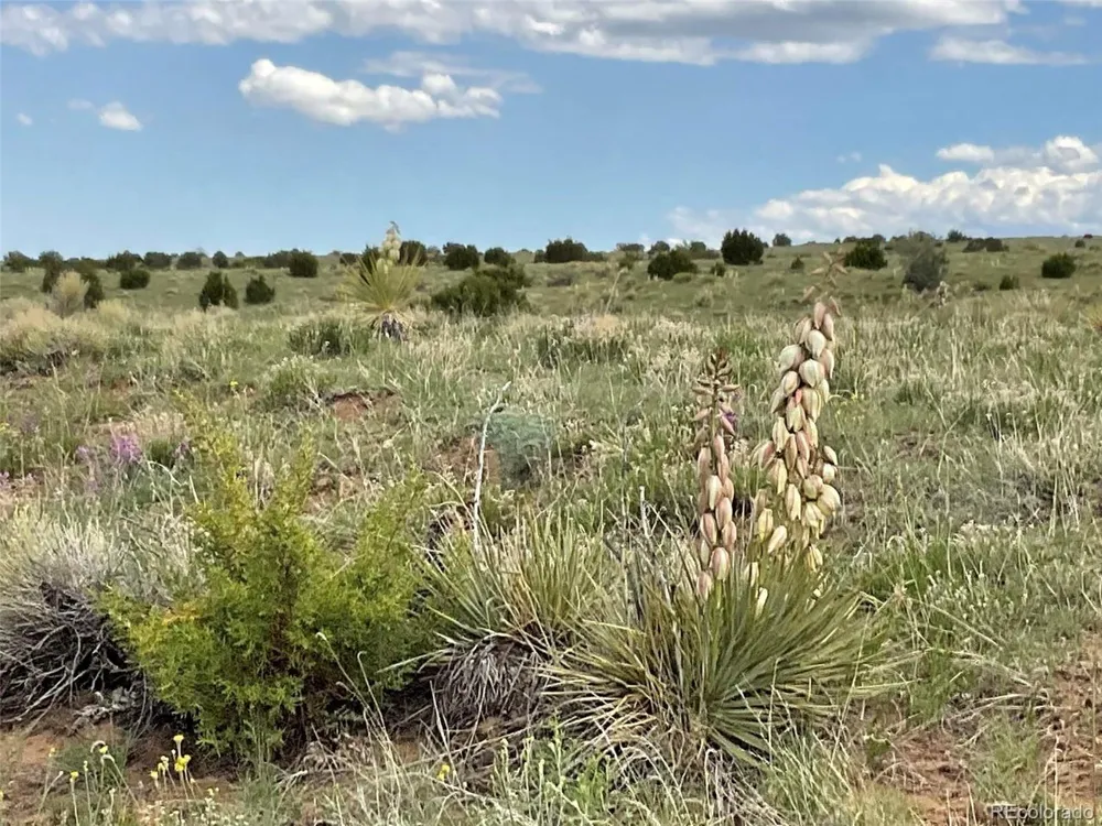 Rio Cucharas Phase 1 Walsenburg, CO 81089