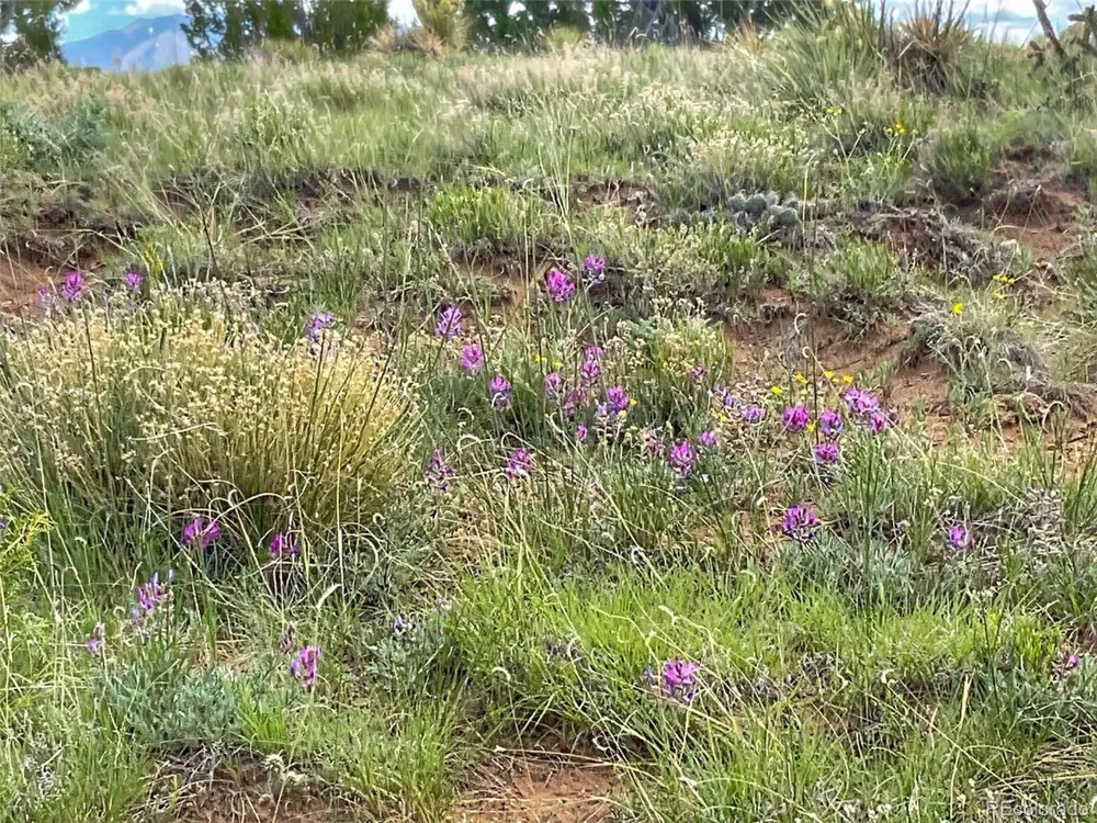 Rio Cucharas Phase 1 Walsenburg, CO 81089