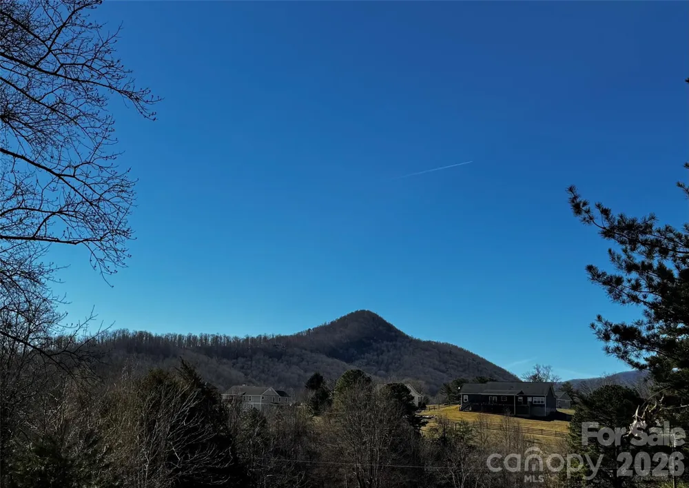 426 Shadow Wood Drive Leicester, NC 28748