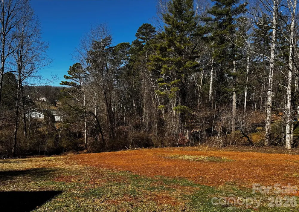 426 Shadow Wood Drive Leicester, NC 28748