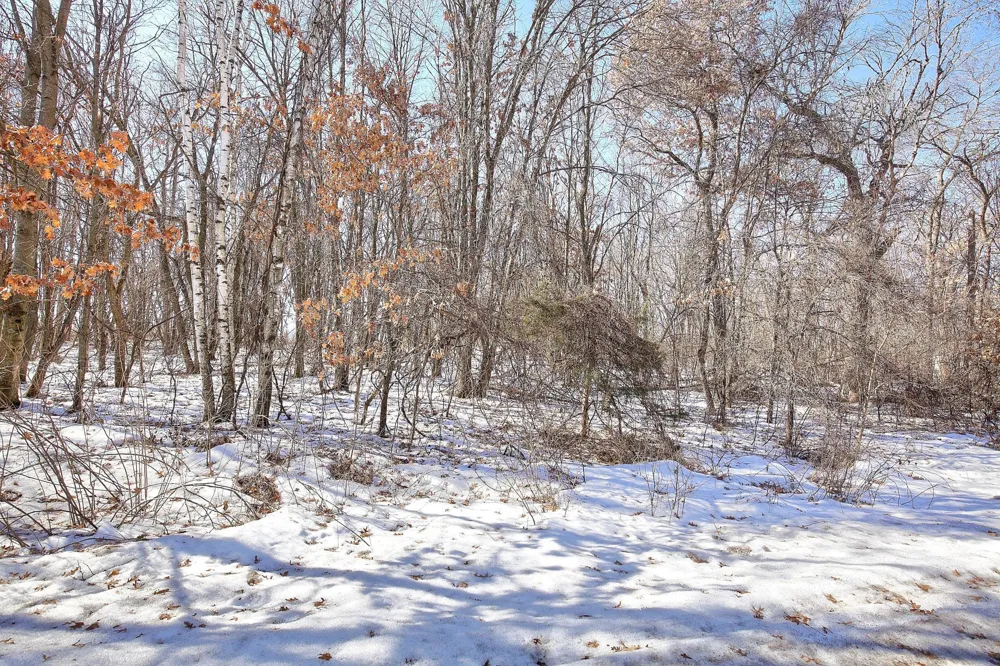 19062 Heather St NW Oak Grove, MN 55011