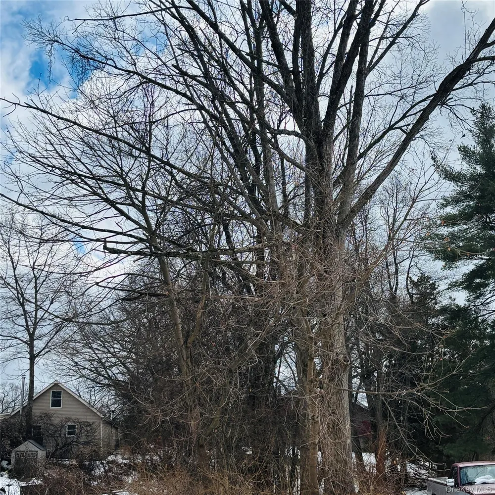 Between 229 and 231 Westchester Avenue Buchanan, NY 10511