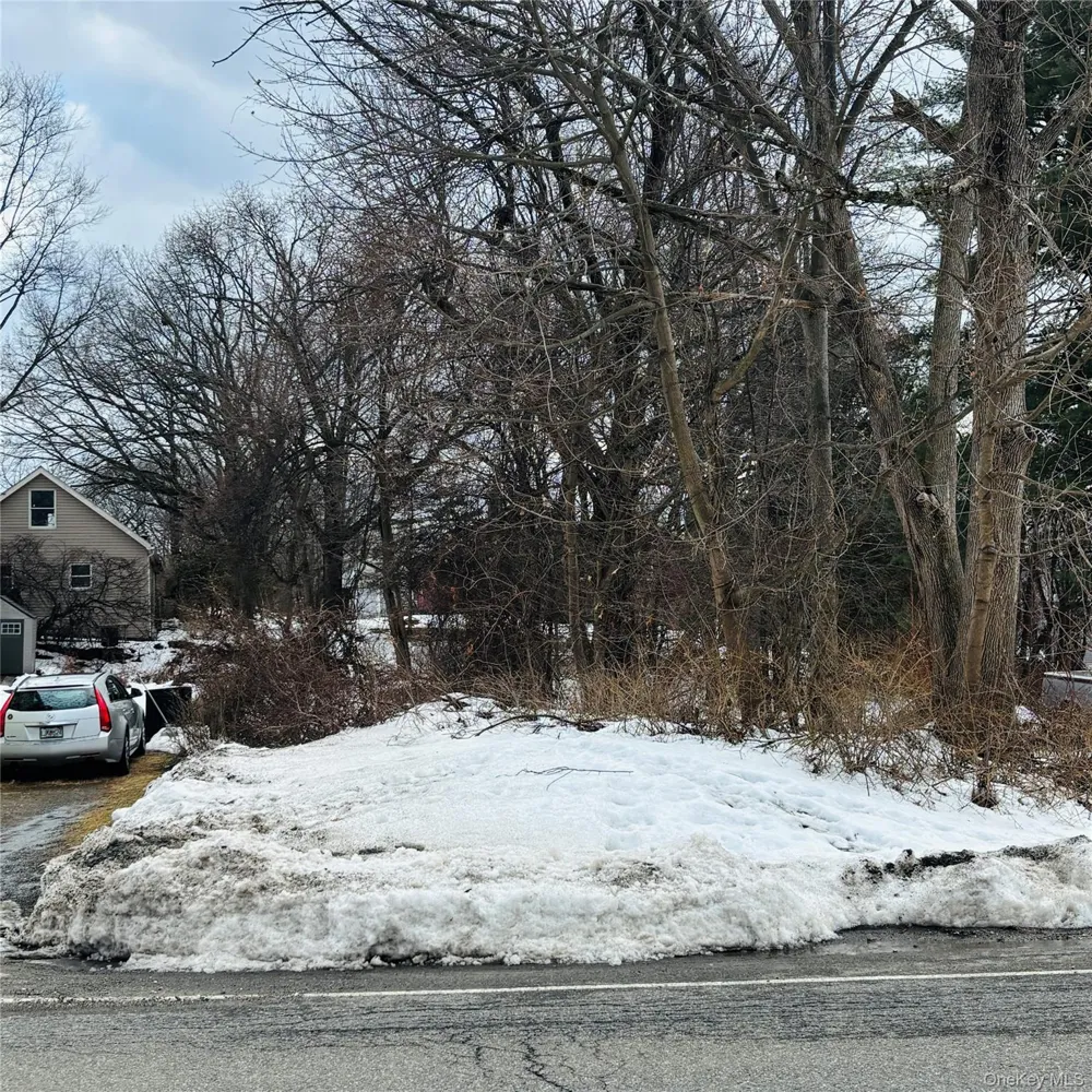 Between 229 and 231 Westchester Avenue Buchanan, NY 10511