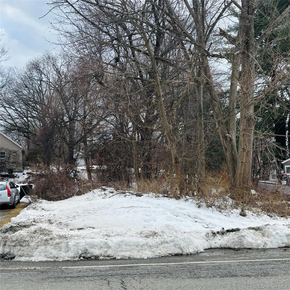 Between 229 and 231 Westchester Avenue Buchanan, NY 10511