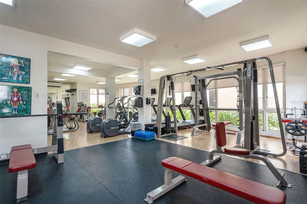 1 PALMA REAL AVE. #2 A6 Guaynabo, PR 00969