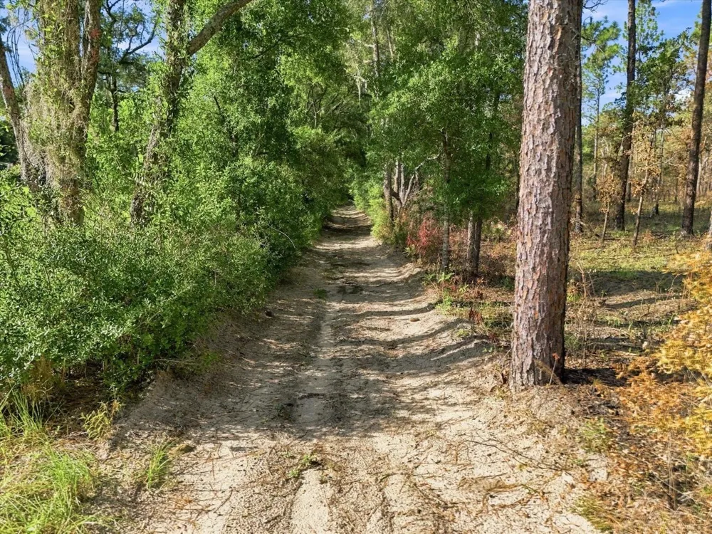 2720 E FAWN COURT Inverness, FL 34452