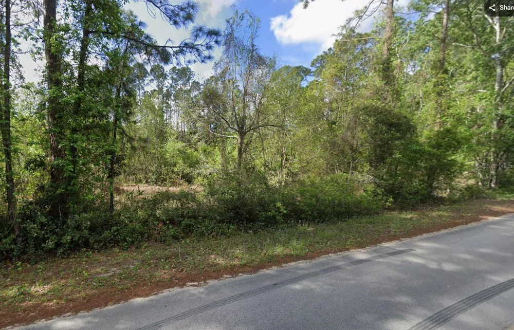 505 HICKORY NUT TRAIL Satsuma, FL 32189