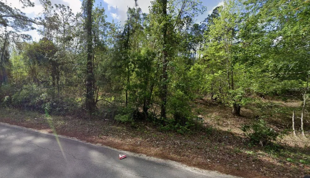 505 HICKORY NUT TRAIL Satsuma, FL 32189