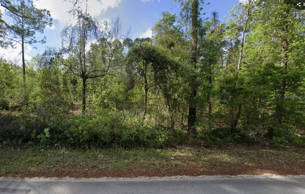 505 HICKORY NUT TRAIL Satsuma, FL 32189