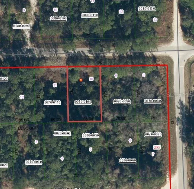505 HICKORY NUT TRAIL Satsuma, FL 32189