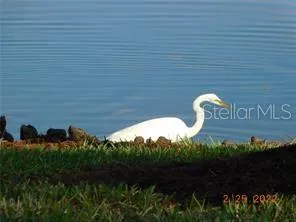 25601 HERITAGE LAKE BOULEVARD #46 Punta Gorda, FL 33983