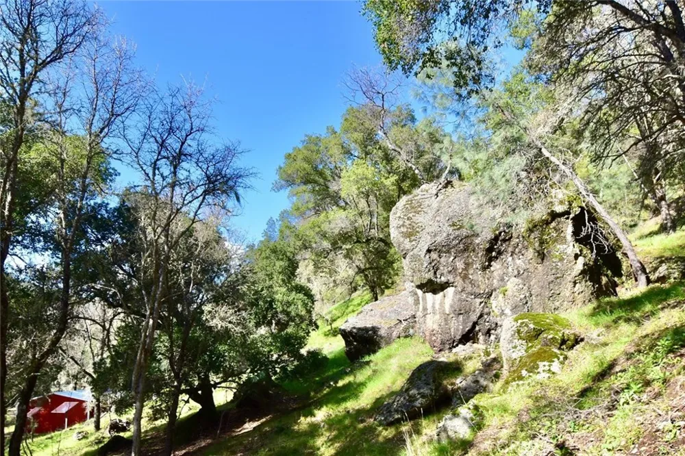 76450 Deer Pass Road Bradley, CA 93426