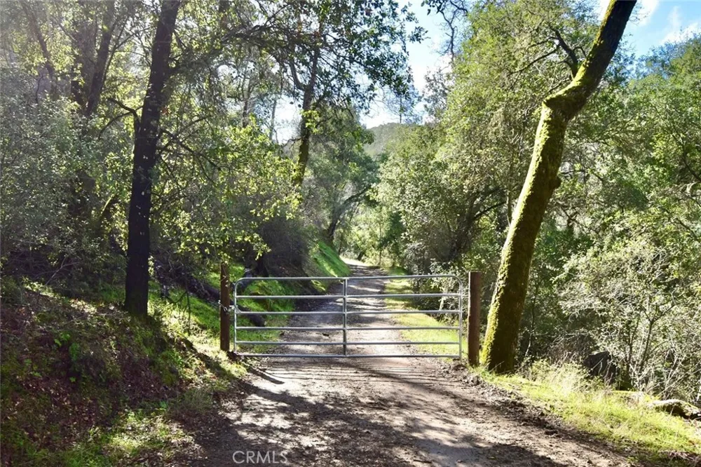 76450 Deer Pass Road Bradley, CA 93426