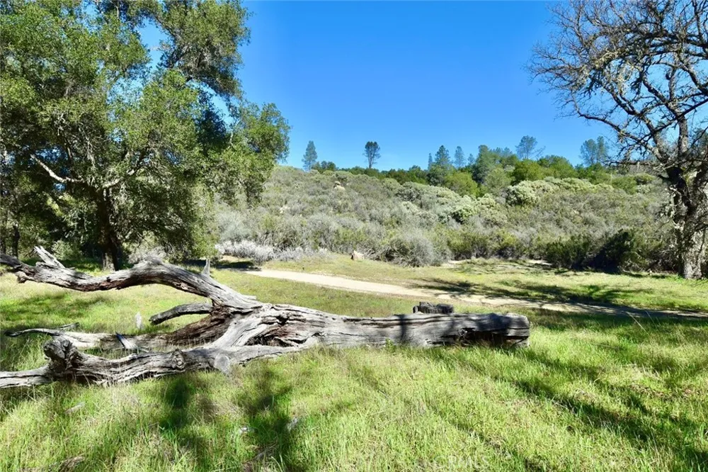 76450 Deer Pass Road Bradley, CA 93426