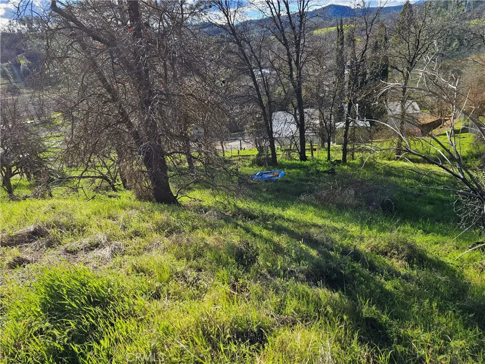 10167 Bell S Lower Lake, CA 95457