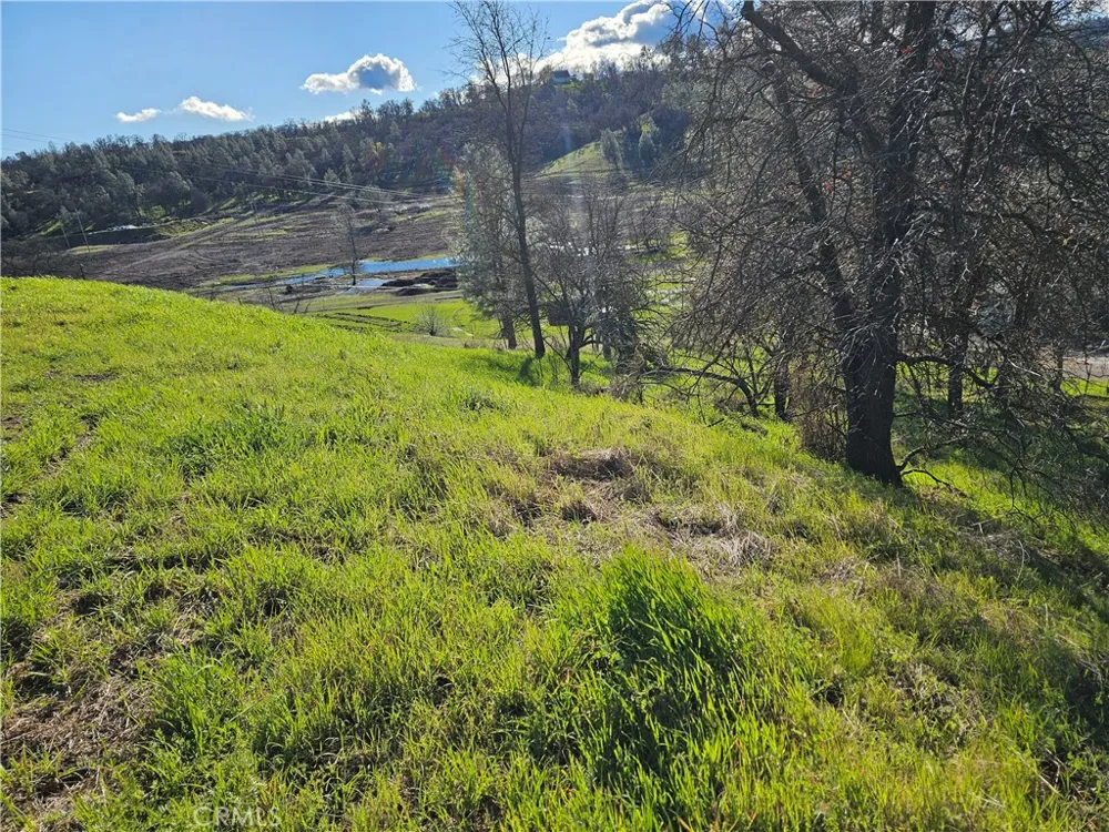 10167 Bell S Lower Lake, CA 95457