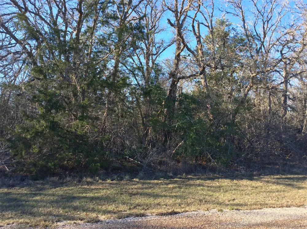 320 Alvina Ulich Street Somerville, TX 77879