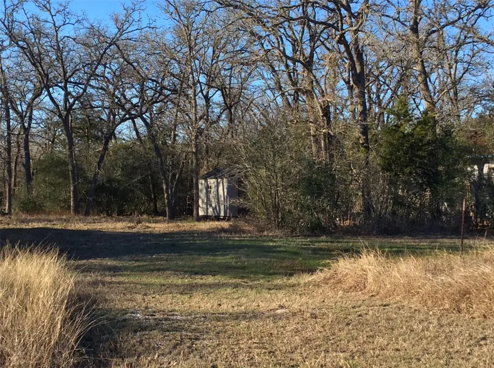 320 Alvina Ulich Street Somerville, TX 77879