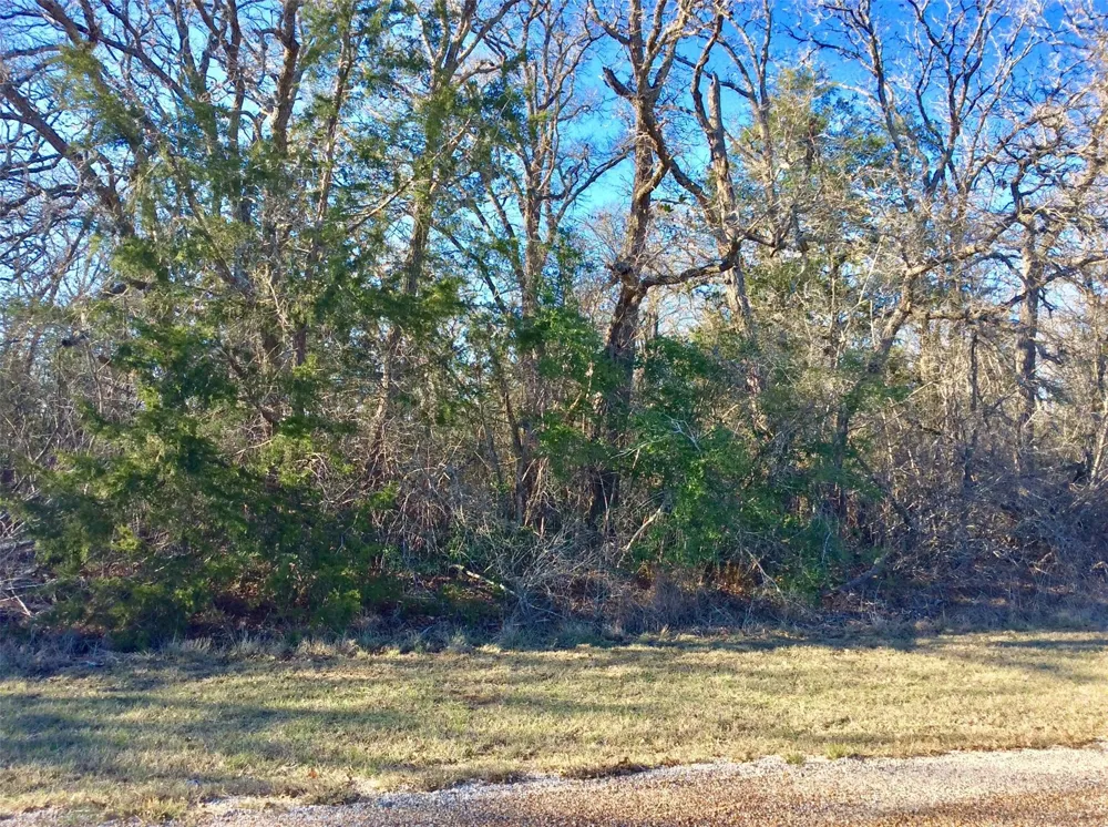 320 Alvina Ulich Street Somerville, TX 77879