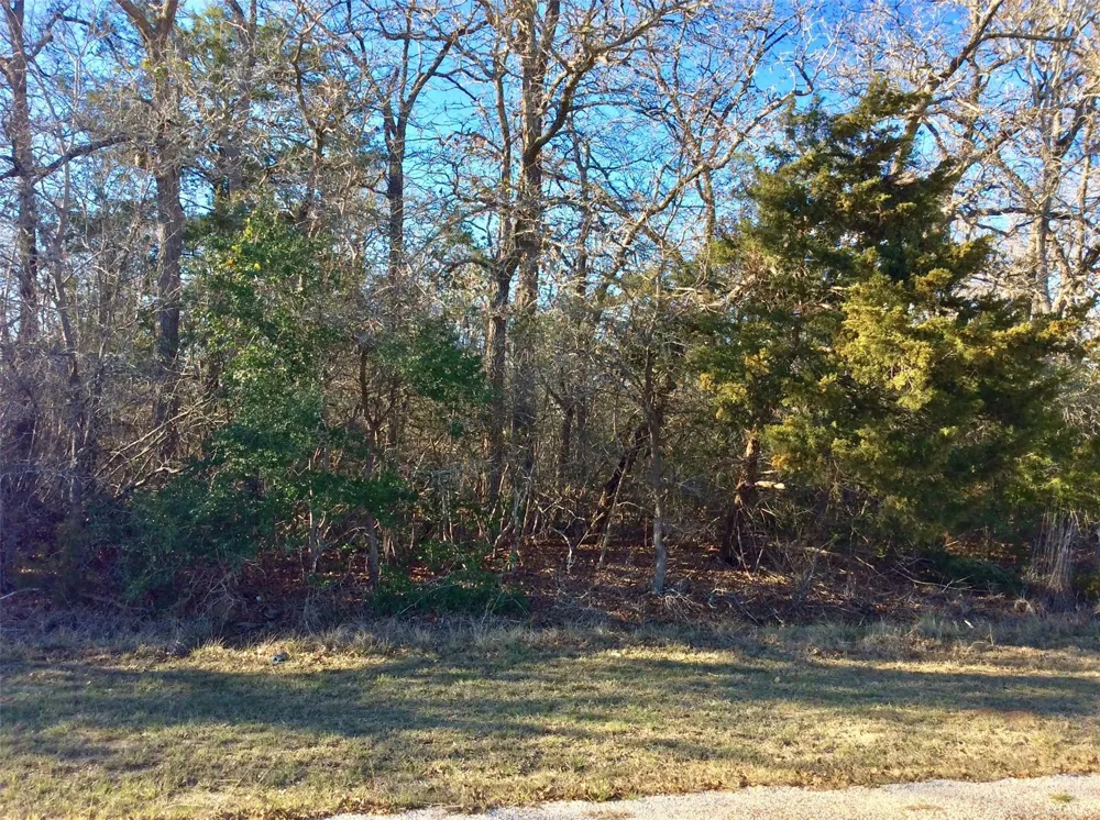 320 Alvina Ulich Street Somerville, TX 77879
