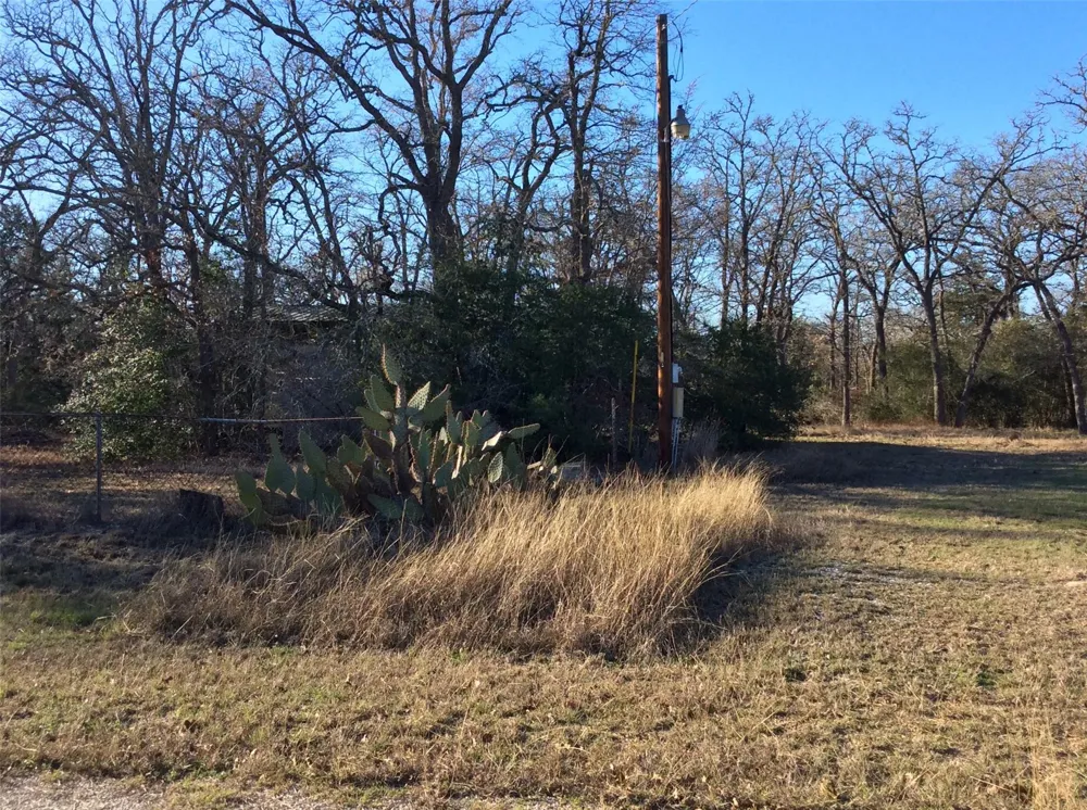 320 Alvina Ulich Street Somerville, TX 77879