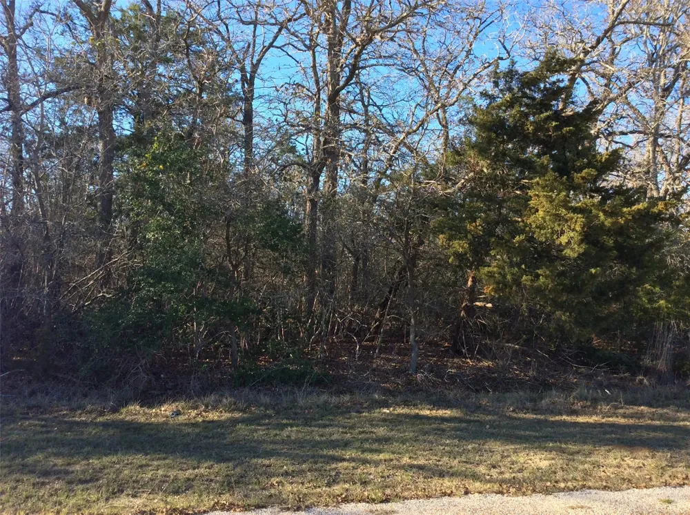 320 Alvina Ulich Street Somerville, TX 77879