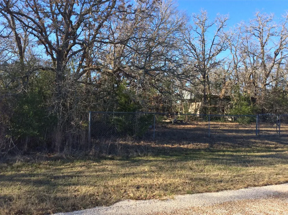 320 Alvina Ulich Street Somerville, TX 77879