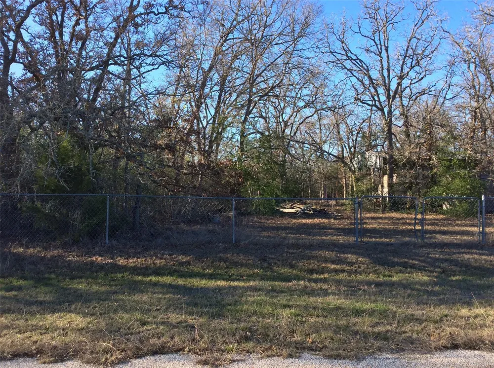 320 Alvina Ulich Street Somerville, TX 77879